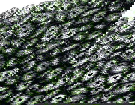 10 gr Superduo® 2,5x5mm Ag:0,8mm METALLIC MATE DARK OLIVINE - - Crystaldreams Abalorios