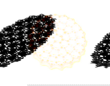 Broche Round - Copper - 19mm - - Crystaldreams Abalorios