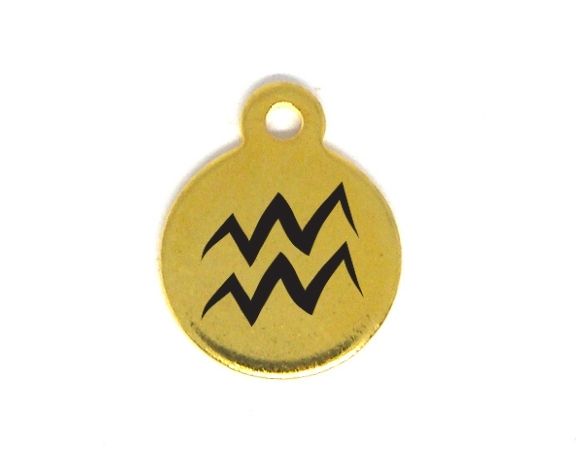 Colgante Zodiac acero inox 304 Dorado 10mm Aguje:1mm AQUARIUS - - Crystaldreams Abalorios