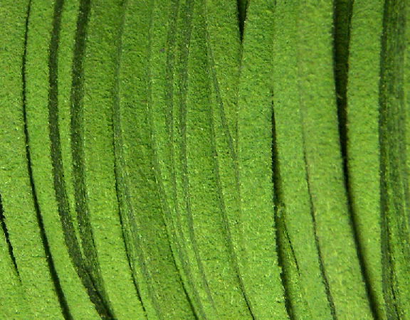 Cordon de Antelina color Olivine x 1mt - - Crystaldreams Abalorios