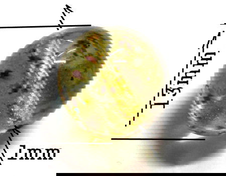 Cuentas Vidrio 13mm - Amber Picasso - - Crystaldreams Abalorios