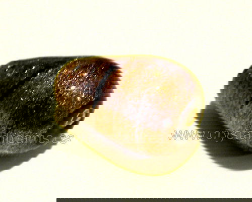 Golden lined Glass Beads 06 24x14mm Agujero: 1,5mm - - Crystaldreams Abalorios