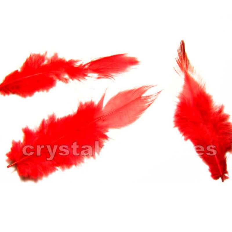 Paquete de 100 plumas Rojas - - Crystaldreams Abalorios