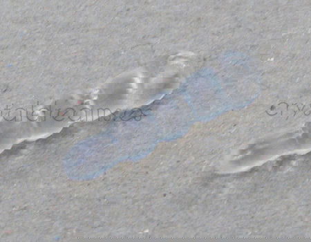 Tapon plastico flexible para telefonos moviles 16mm Transparent - - Crystaldreams Abalorios