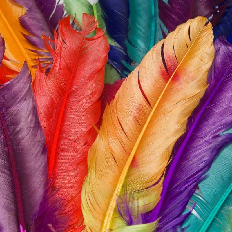 PLUMAS -  - Crystaldreams Abalorios