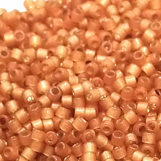 11/0 MIYUKI delica Duracoat Silver Lined Dyed Rose DB2172 1gr -  - Crystaldreams Abalorios