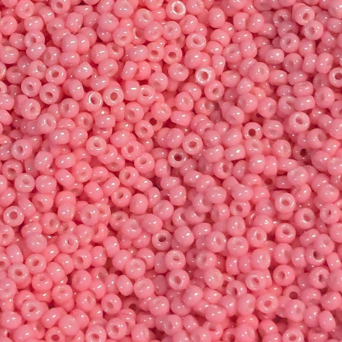 5 grammes. 11/0 MIYUKI-perles de rocaille-Duracoat Opaque Dyed Party Pink-4467