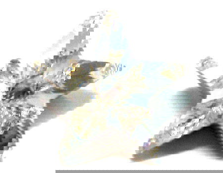 4745 Swarovski Elements Star - 10mm - Crystal -  - Crystaldreams Abalorios