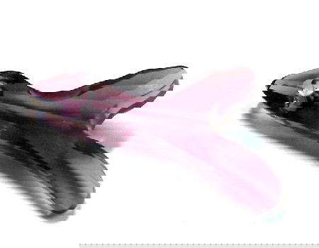 Swarovski Elements® 25mm Coral 2 Puntas - Amethyst -  - Crystaldreams Abalorios